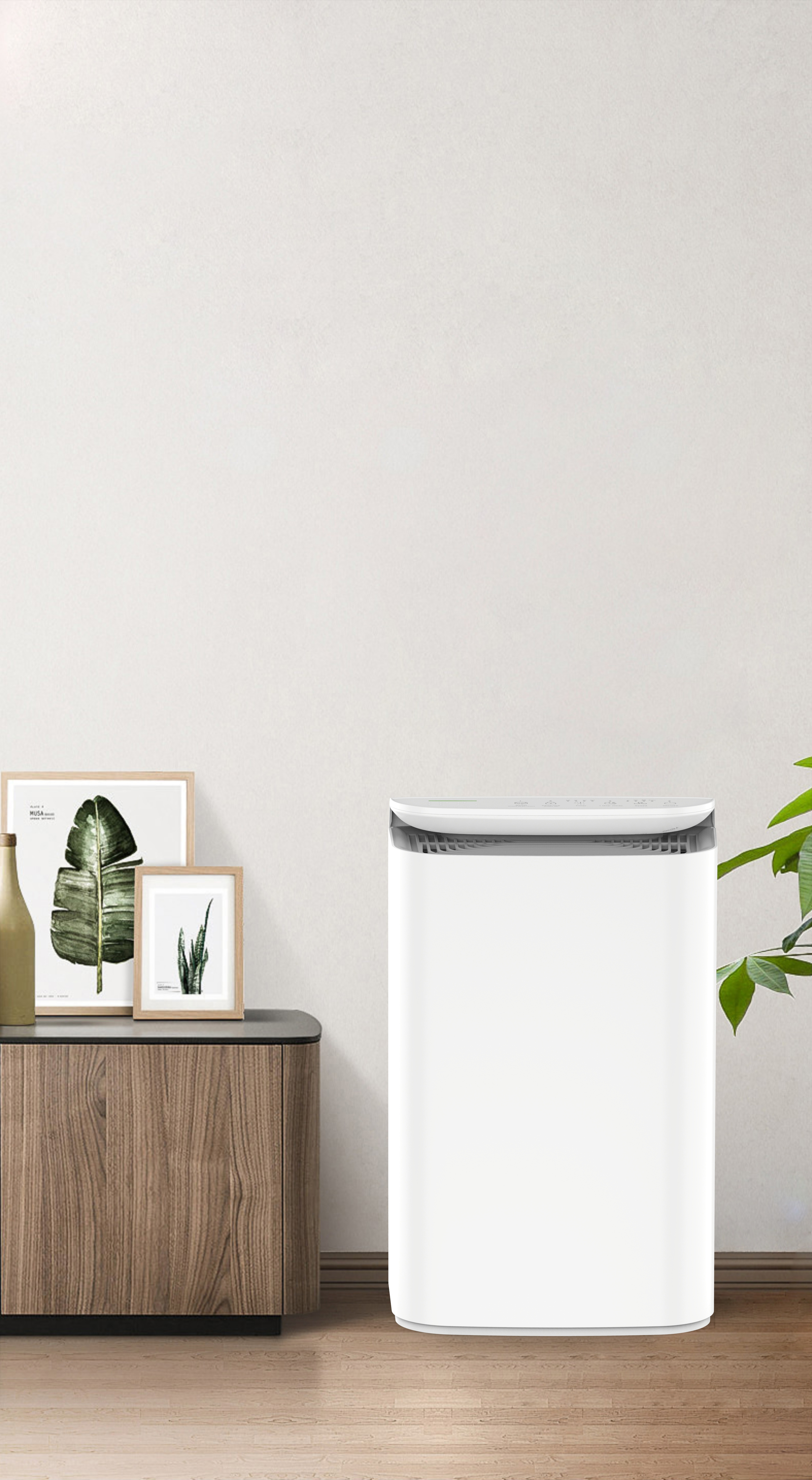 Nâng cấp công nghệ anion Hơi thở tươi của rừng BKJ-16B